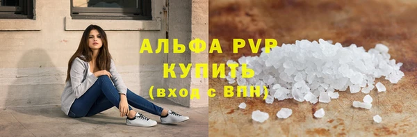 ECSTASY Богородицк