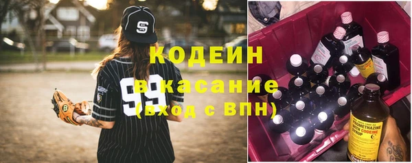 ECSTASY Богородицк